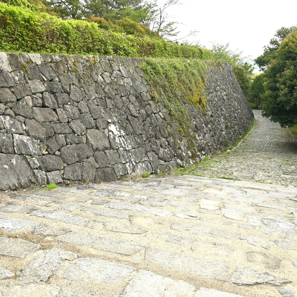 Stone Pathway in Wrexham